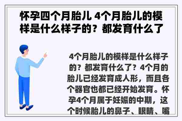 怀孕四个月胎儿 4个月胎儿的模样是什么样子的？都发育什么了？